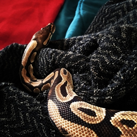 bb4a6f03-2c56-4df1-9ade-89db2b855e34_zps0cdnw0bd